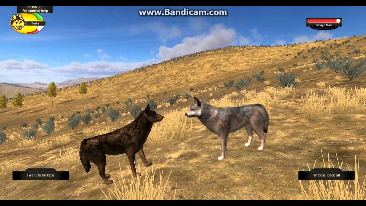 wolfquest 2.7 free full download